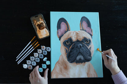 Single Pet Paint by Number Kit