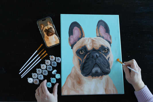 Single Pet Paint by Number Kit