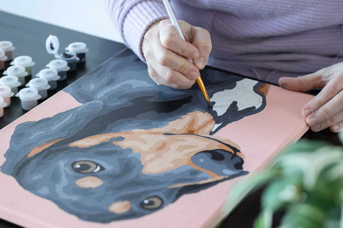 Single Pet Paint by Number Kit