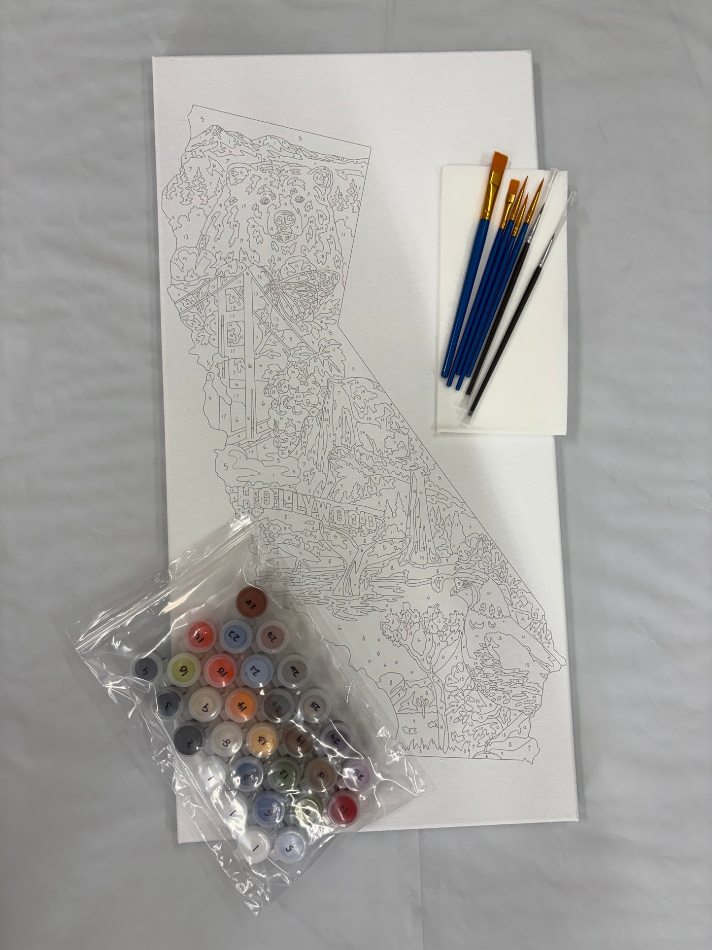 California Paint by Number Kit
