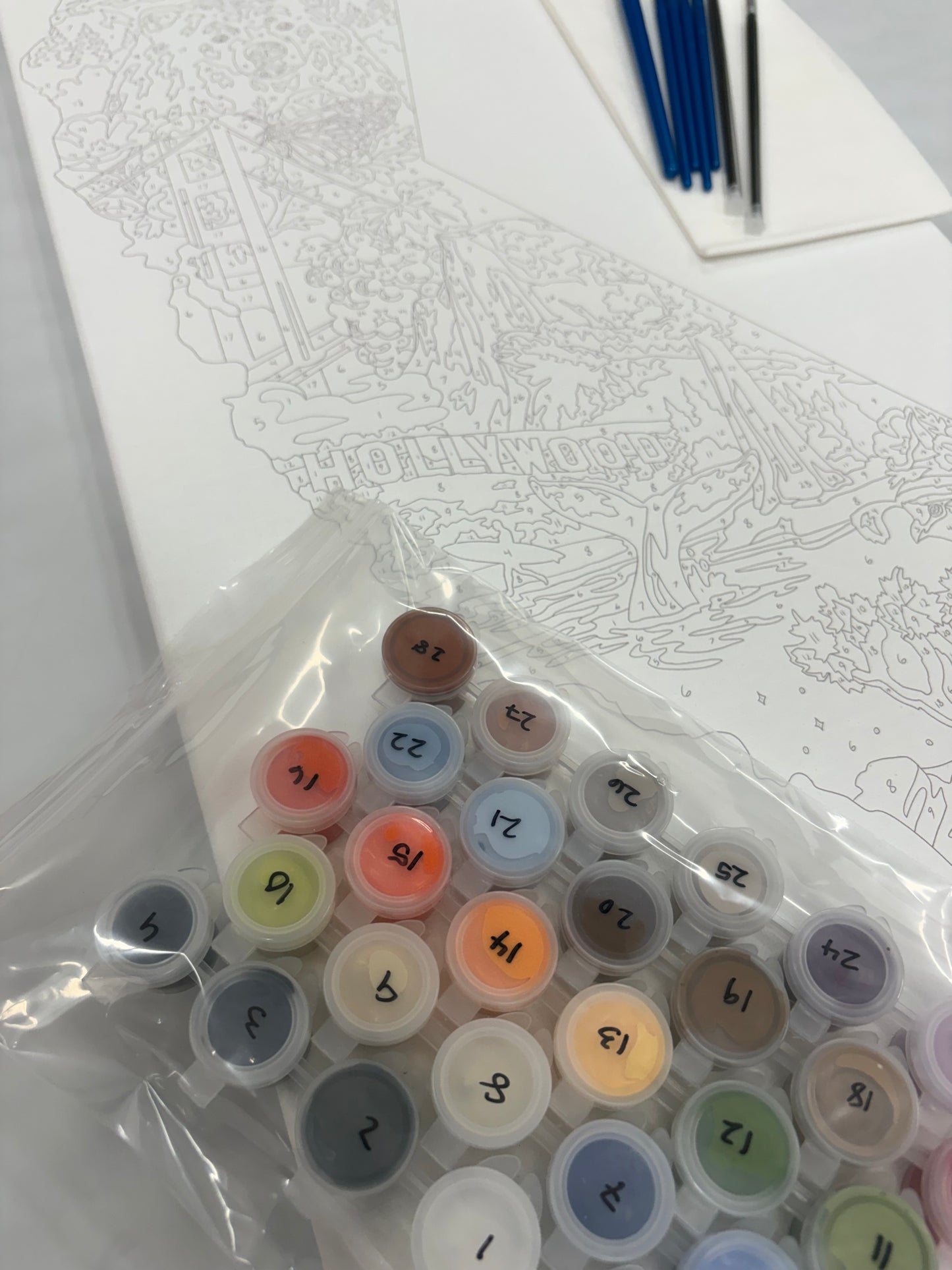 California Paint by Number Kit