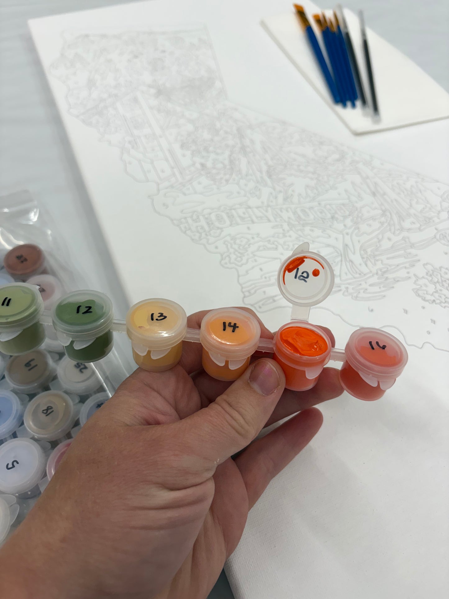 California Paint by Number Kit