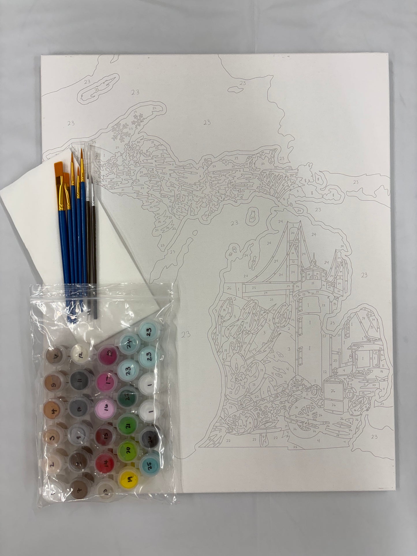 Michigan - Full State Paint by Number Kit