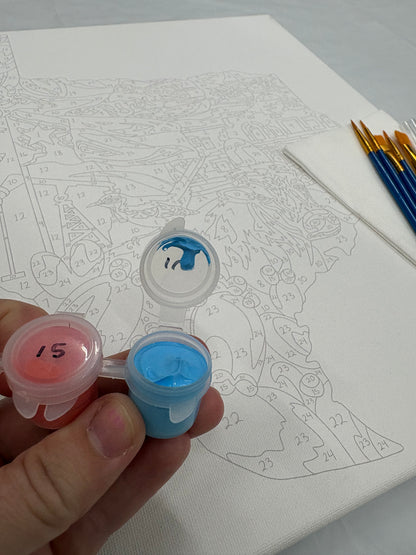 Texas Paint by Number Kit