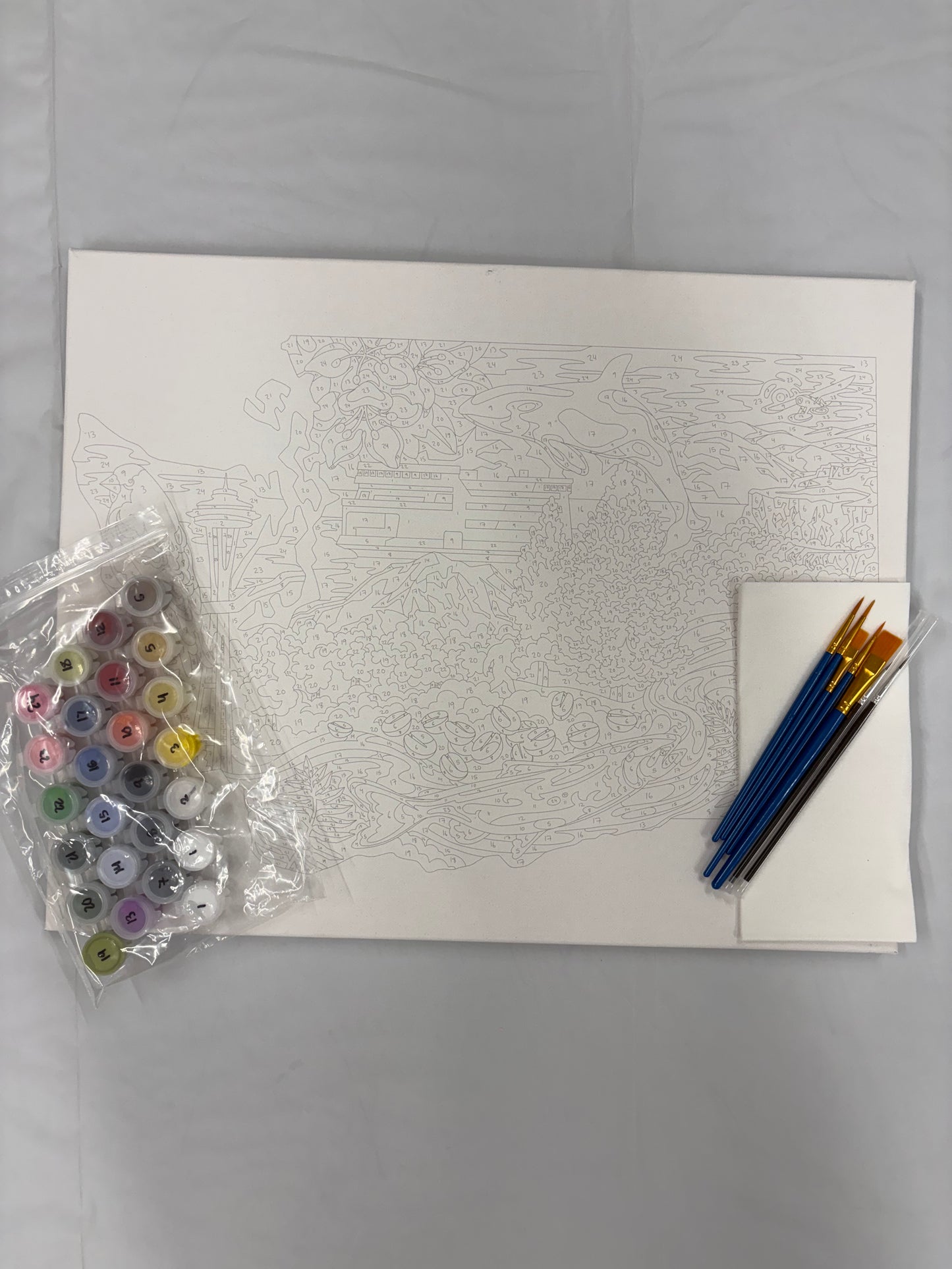 Washington Paint by Number Kit