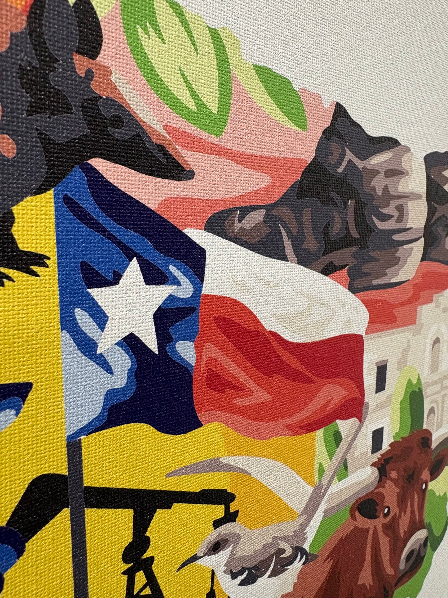 Texas Paint by Number Kit