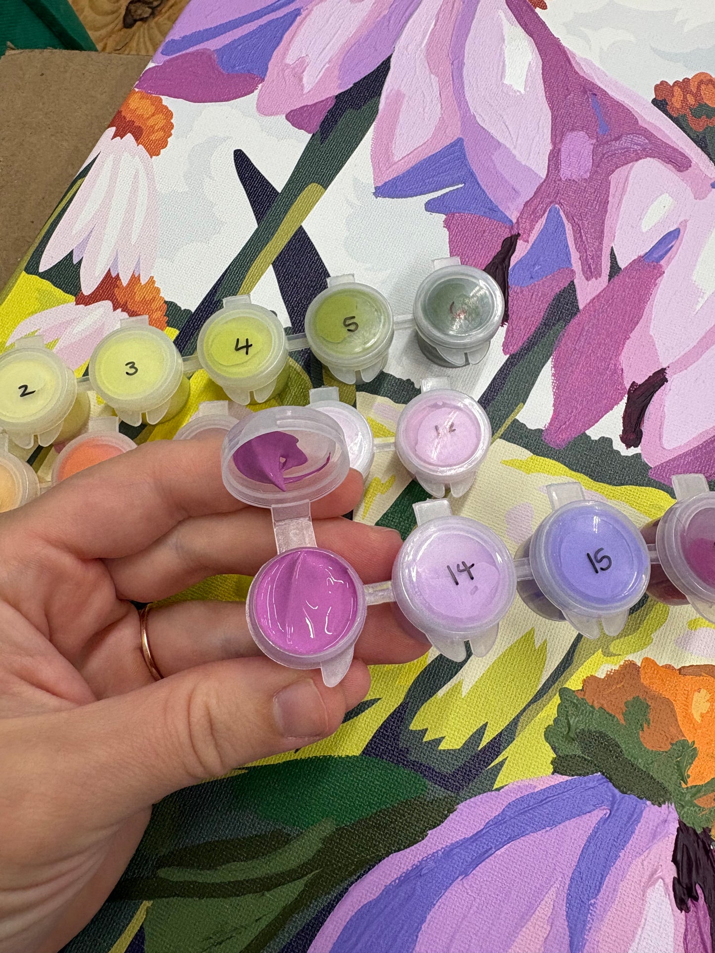 Purple Coneflowers Paint by Number Kit