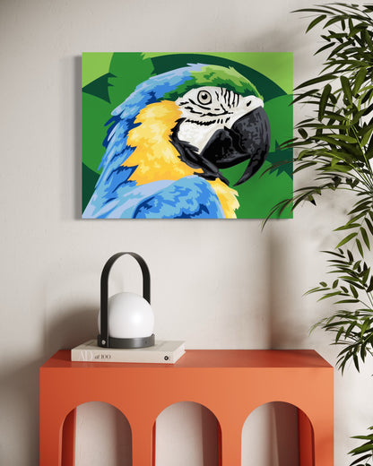 Macaw Paint by Number Kit