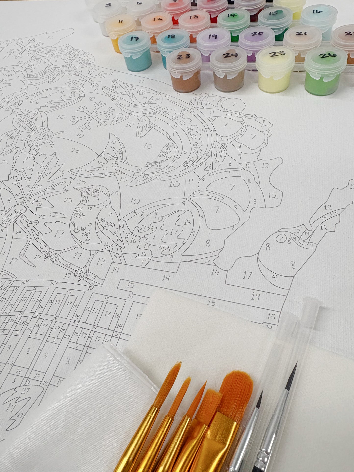 Wisconsin Paint by Number Kit