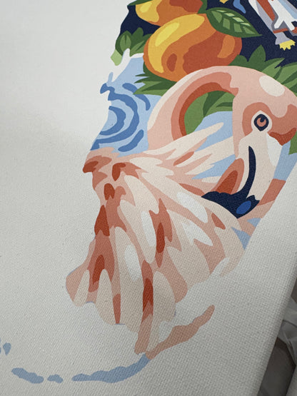 Florida Paint by Number Kit