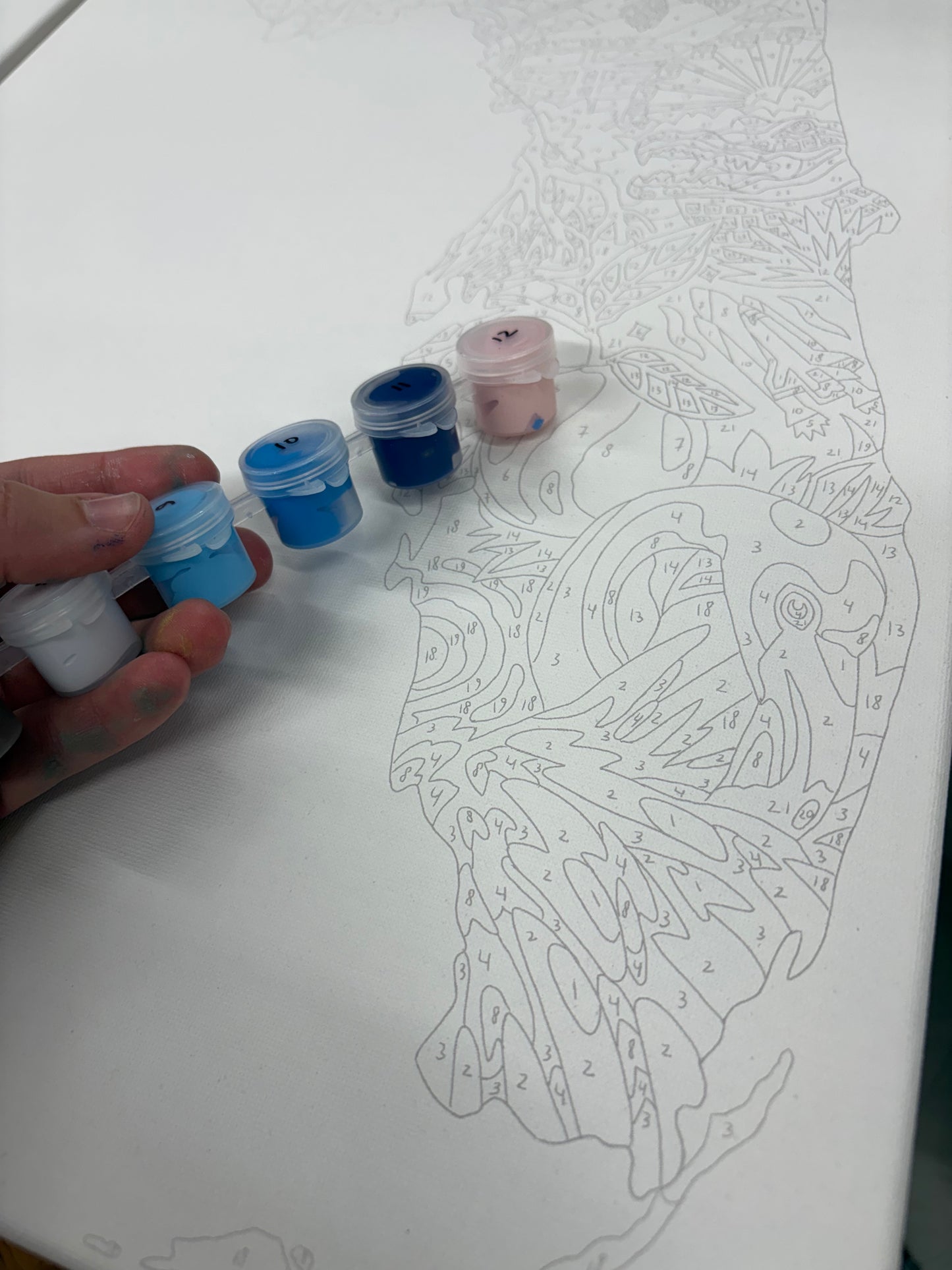 Florida Paint by Number Kit