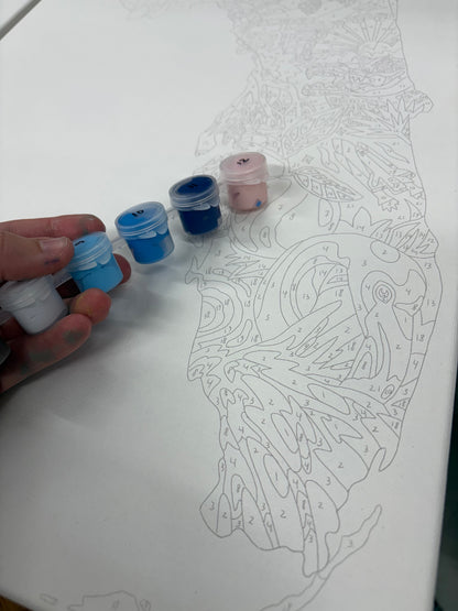 Florida Paint by Number Kit