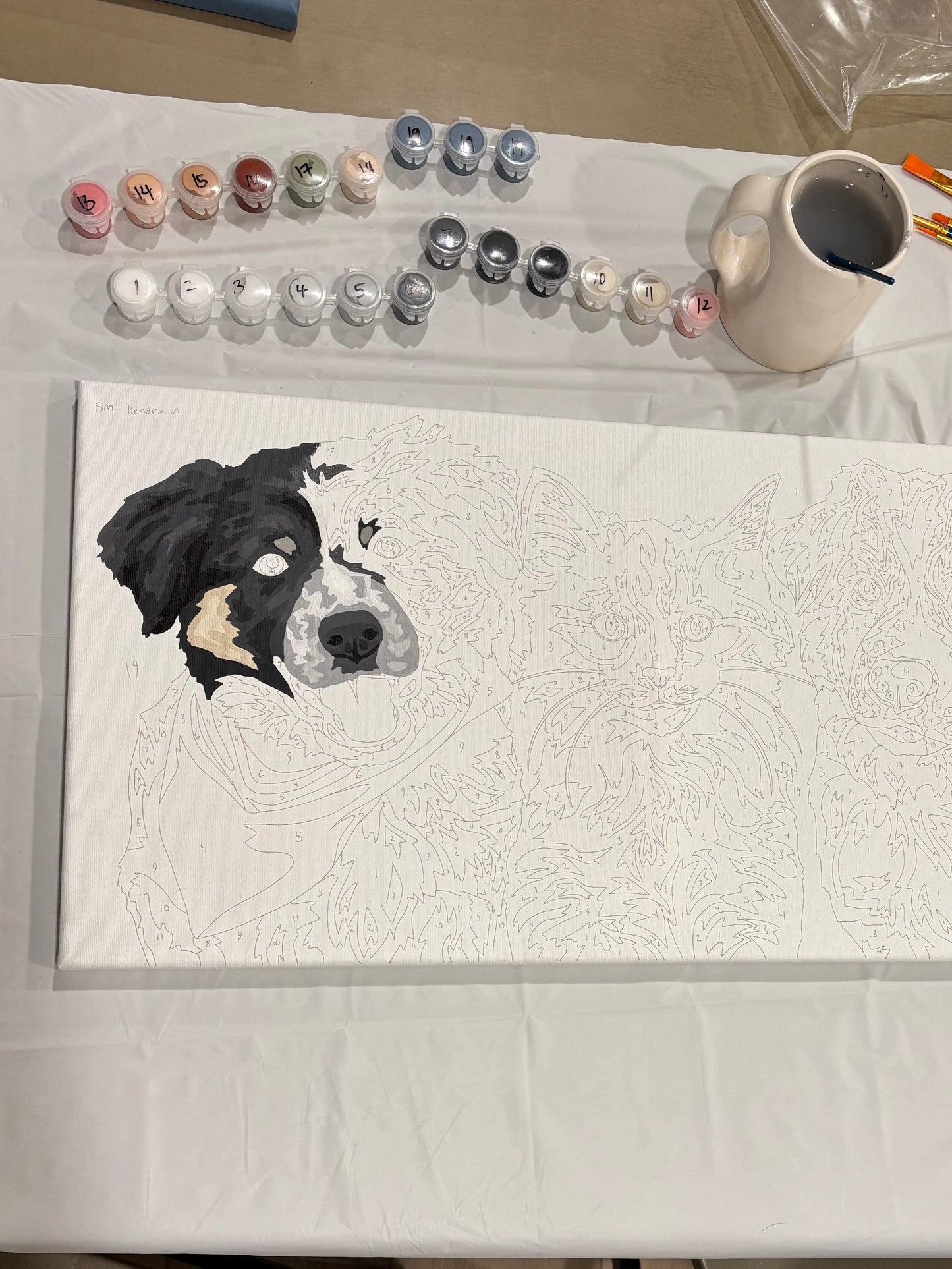 Triple Pet Paint by Number Kit